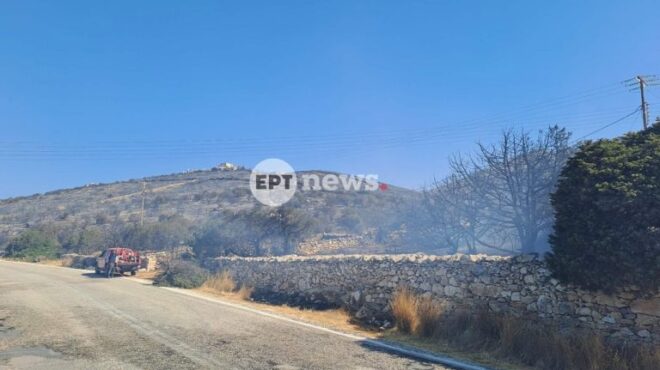 φωτιά-στην-πάρο-σε-επιφυλακή-για-αναζω-564372598