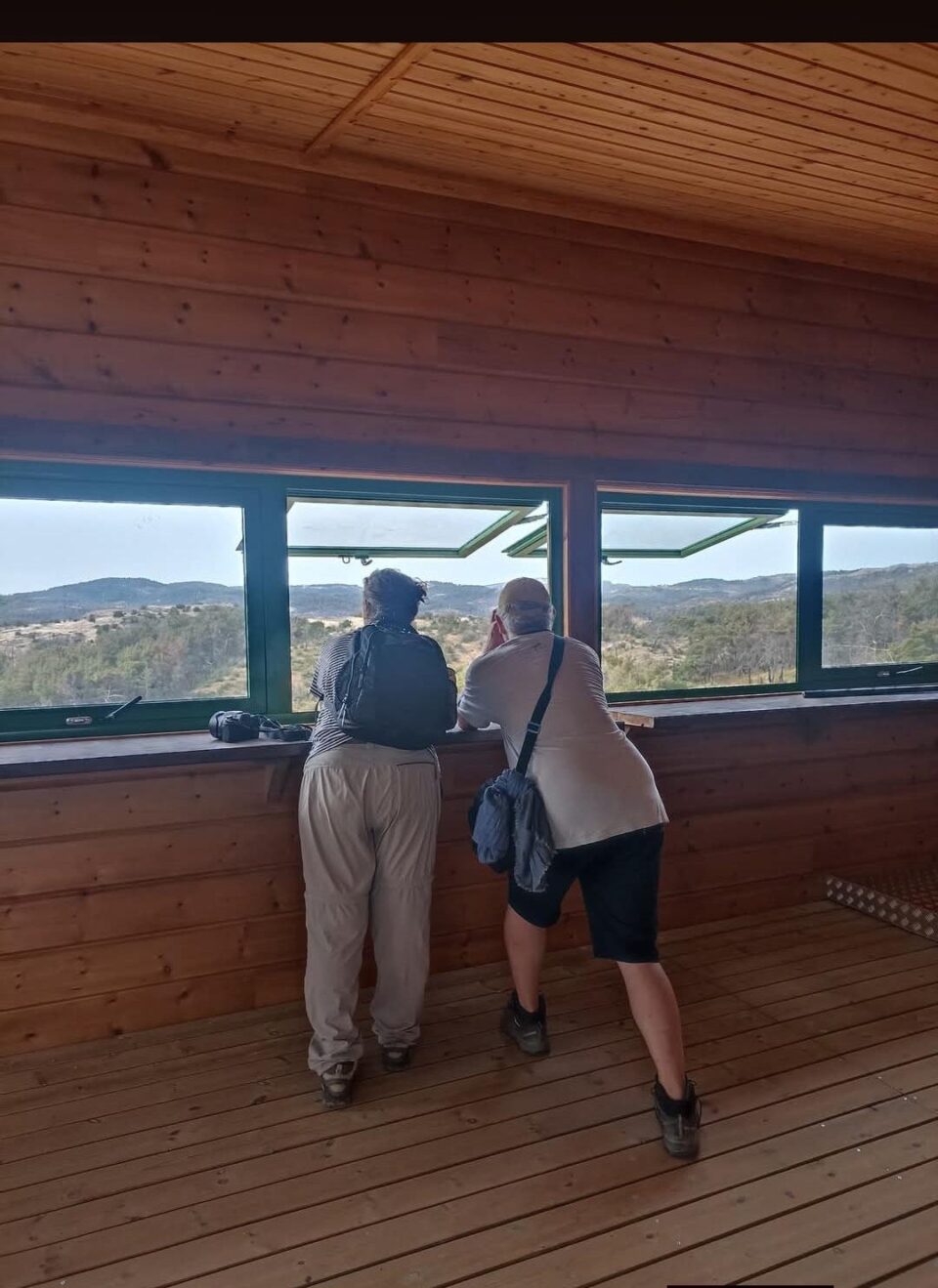 «Ερχονται από τη Σουηδία και τη Νότια Αφρική για να δουν τη Δαδιά να ξαναγεννιέται»-3