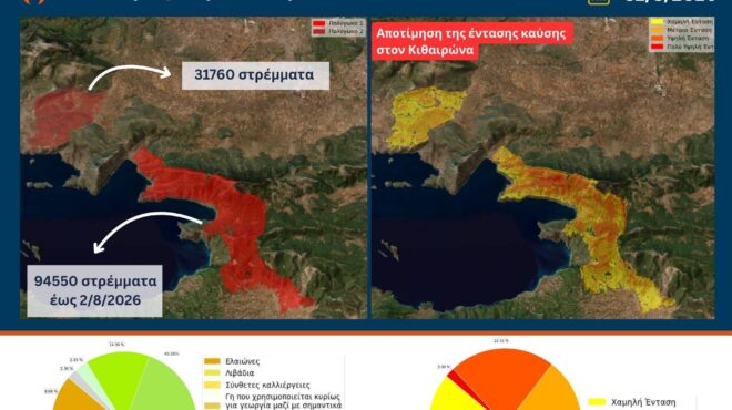 φωτιά-σε-κιθαιρώνα-και-αγιο-νικόλαο-πά-564381823