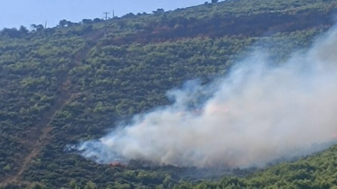 δεύτερη-φωτιά-στο-ίδιο-δίκτυο-μέσα-σε-έ-564381604