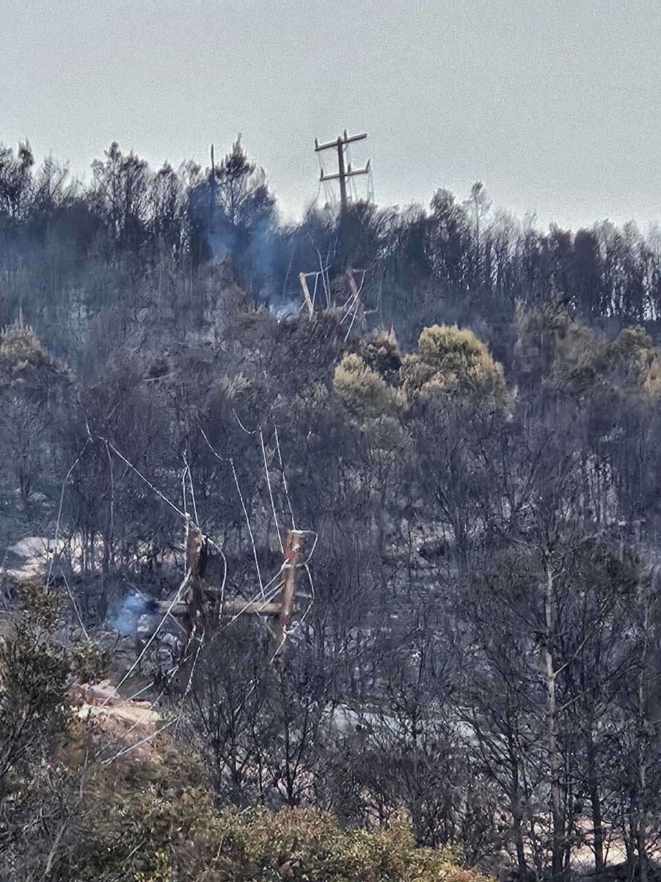 Δεύτερη φωτιά στο ίδιο δίκτυο μέσα σε έναν μήνα-1